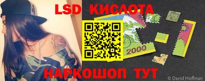 спиды Новодвинск