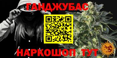 спиды Новодвинск