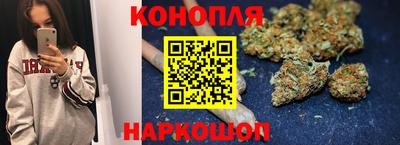 спиды Новодвинск