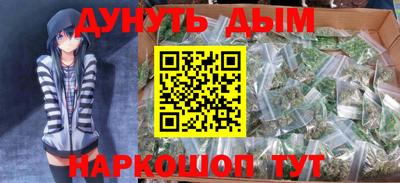 спиды Новодвинск