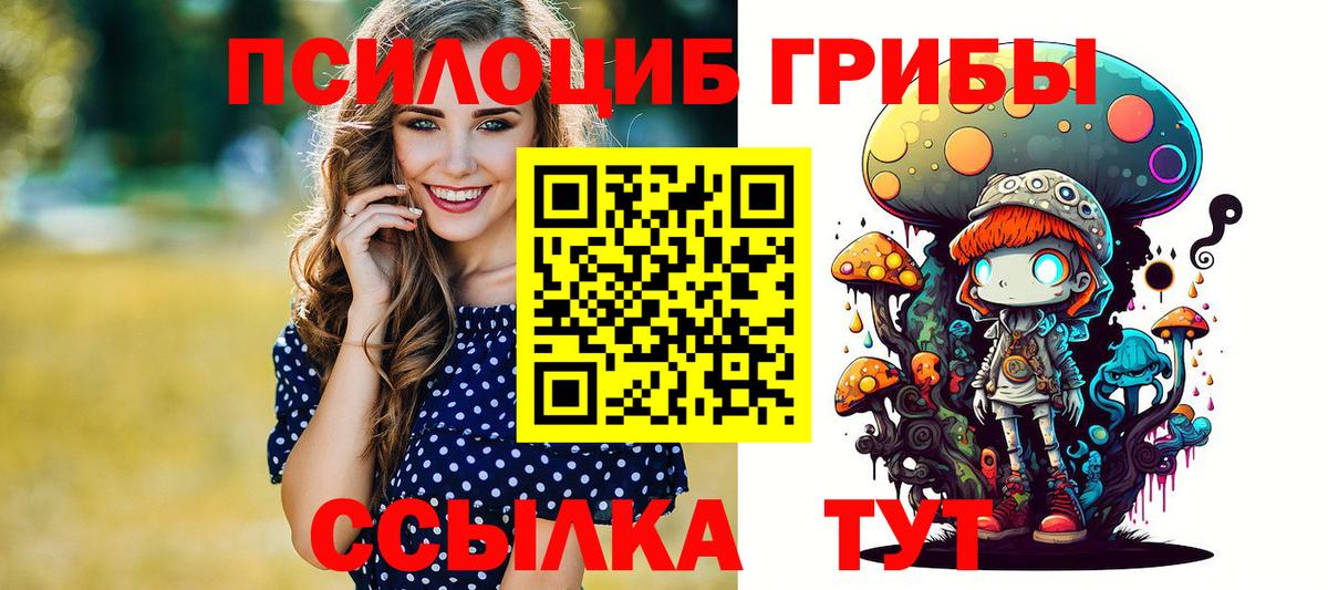 Галлюциногенные грибы GOLDEN TEACHER  Псилоцибиновые грибы MAGIC MUSHROOMS  Вход с VPN  Орск 